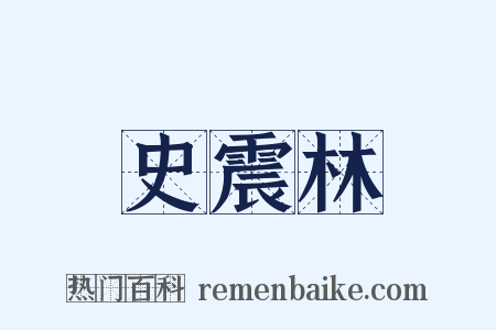 史震林是什么意思的图片